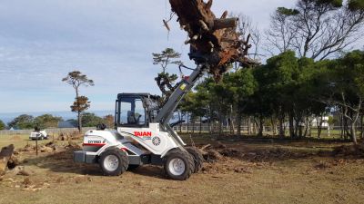 новый Мини-погрузчики с сочленённой рамой Taian DY1150 в продаже на Gruzovik.ru